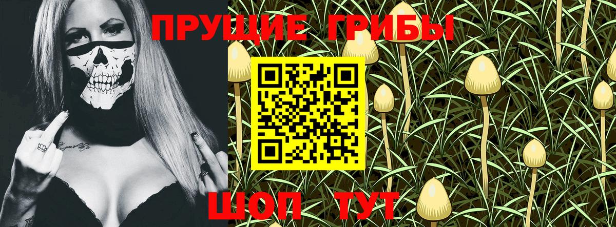 Галлюциногенные грибы Psilocybe Тулун