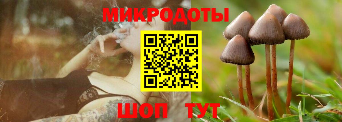 Тулун  Галлюциногенные грибы ЛСД  Вход с VPN 